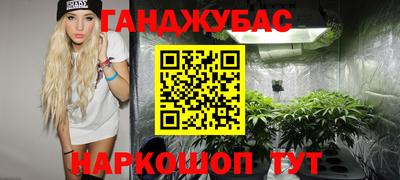 apvp Гагарин