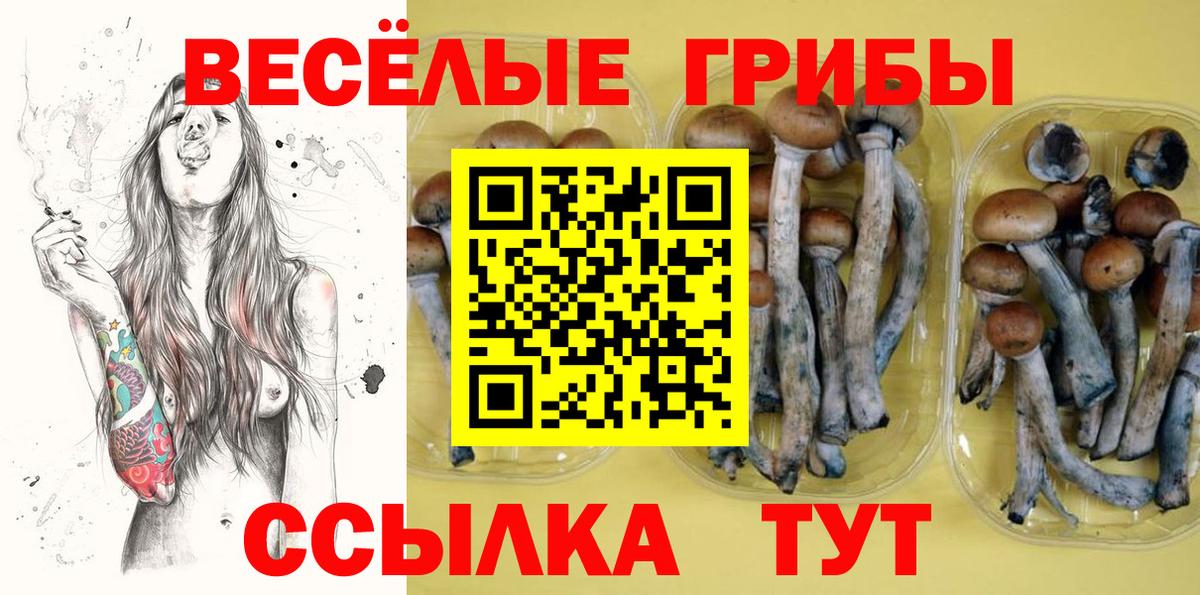 Псилоцибиновые грибы ЛСД  Псилоцибиновые грибы MAGIC MUSHROOMS  Вход с VPN  наркота  Новошахтинск 