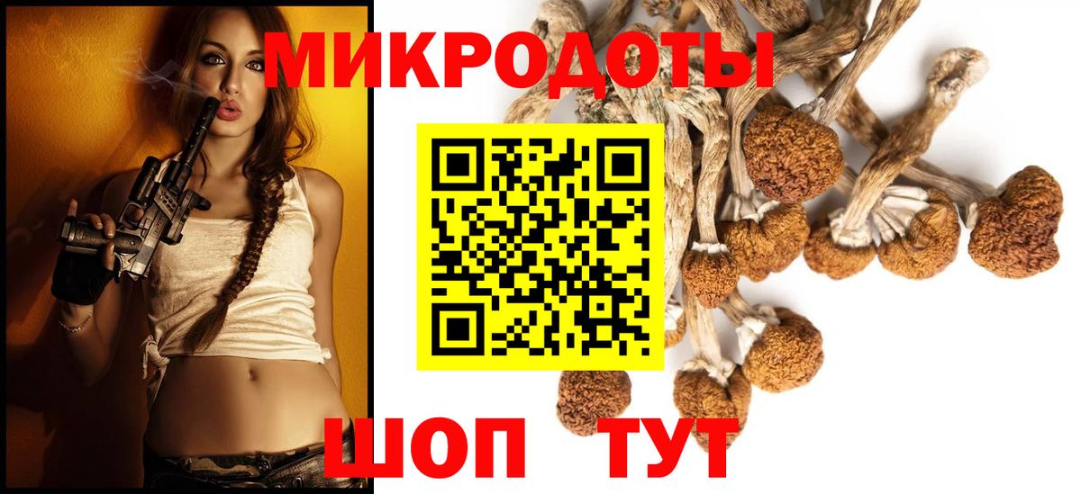 Псилоцибиновые грибы прущие грибы Новошахтинск